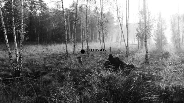 Triptychon BlackSun – Bild 2