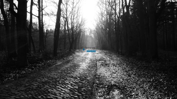 Triptychon Uckermark – Bild 2