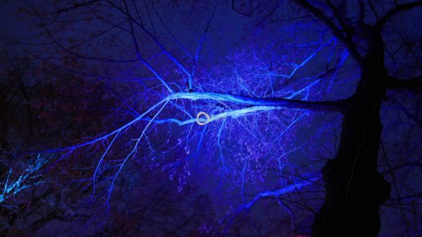 Triptychon Lightning – Bild 2