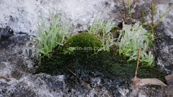 Triptychon P1020192 – Bild 2