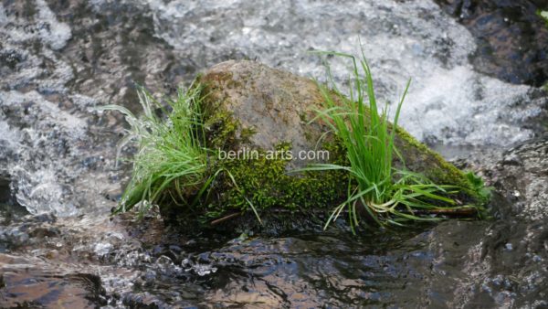 Triptychon P1020196 – Bild 2