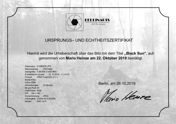 Triptychon BlackSun – Bild 3