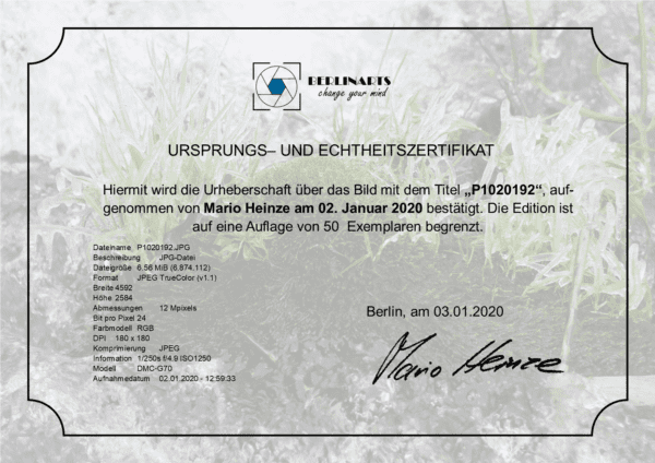 Triptychon P1020192 – Bild 3