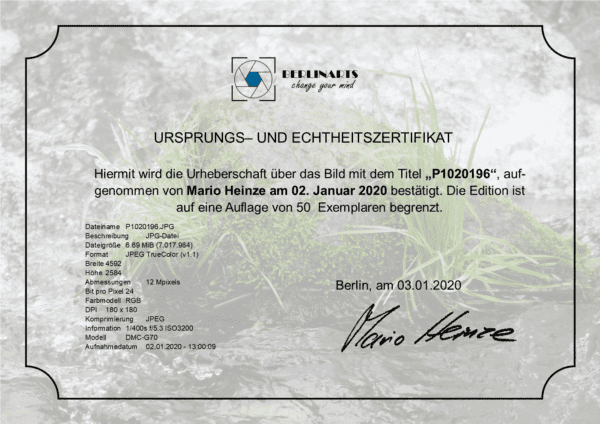 Triptychon P1020196 – Bild 3