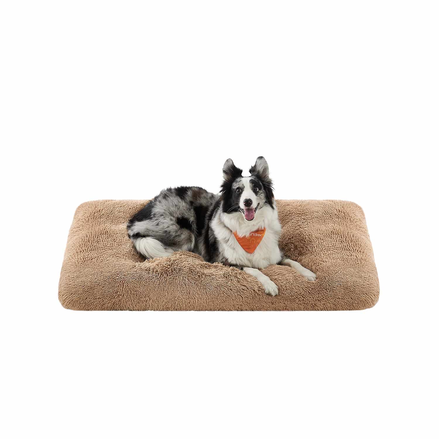 Hundebett mit weicher Polsterung 122 x 74 cm