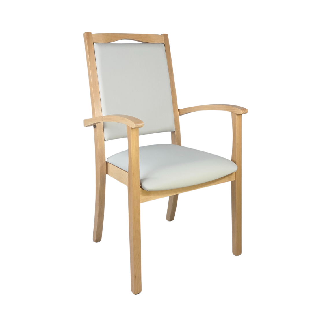 Alexander Hochlehner – Ergonomischer Armlehnenstuhl für Senioren und Pflege - Metall Silber / Clean-Kunstleder Walter Grau