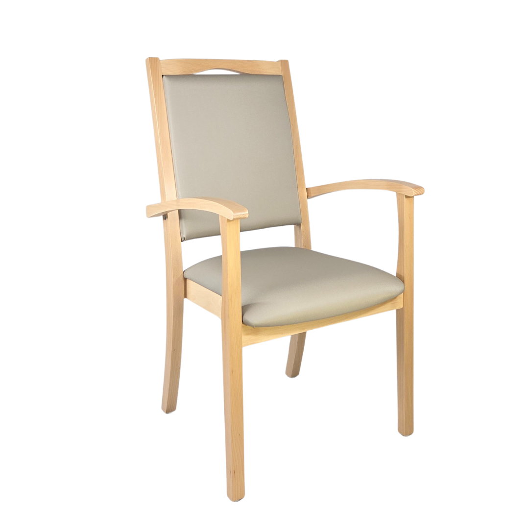 Alexander Hochlehner – Ergonomischer Armlehnenstuhl für Senioren und Pflege - Metall Silber / Clean-Kunstleder Walter Macadamia